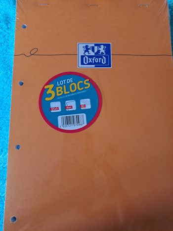 Lot de 3 blocs note