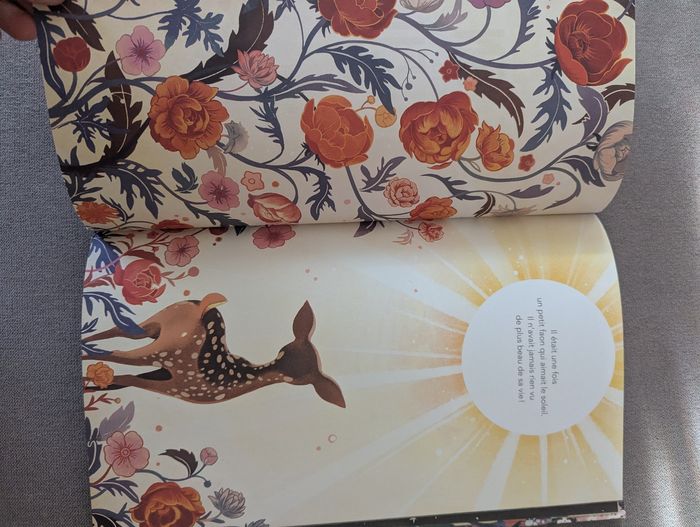 Beau livre le faon et le soleil - photo numéro 3