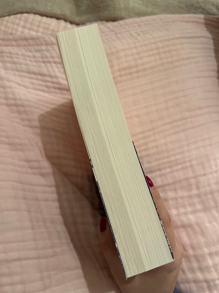 Livre « l’ami impossible » - photo numéro 4