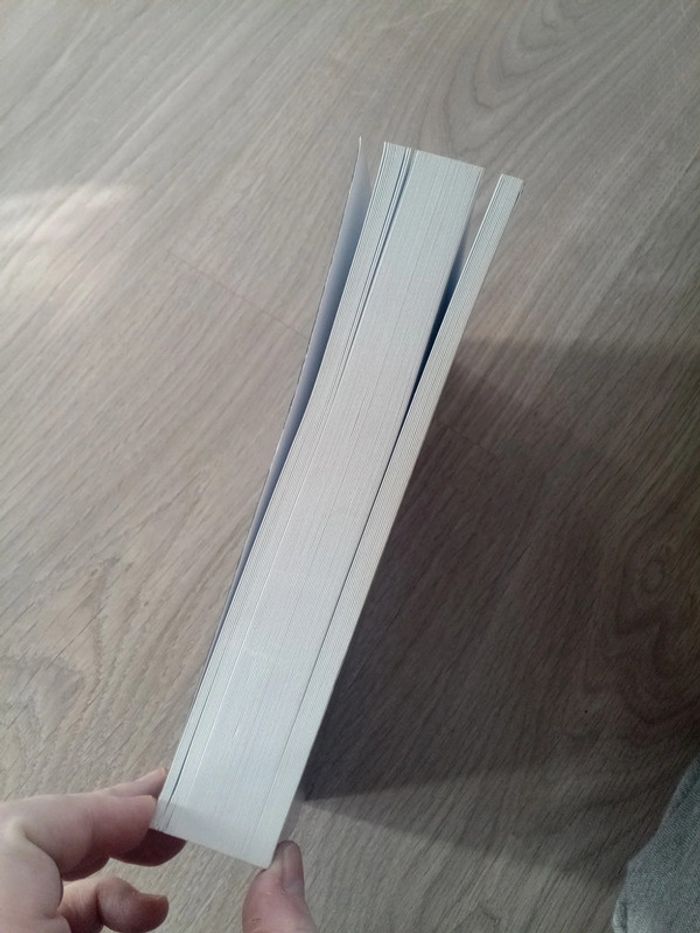 Albert le Grand le livre suprême de toutes les magies - photo numéro 4