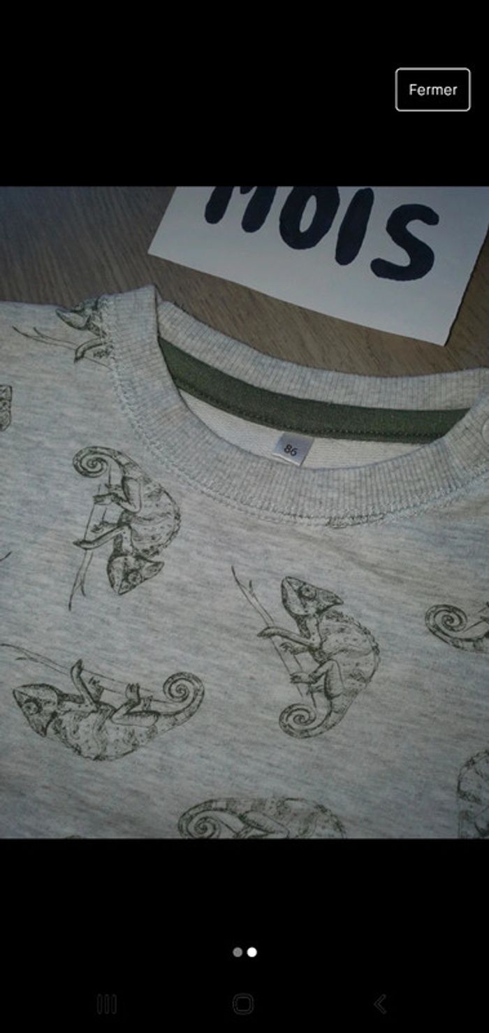 Pull 18mois garçon - photo numéro 2