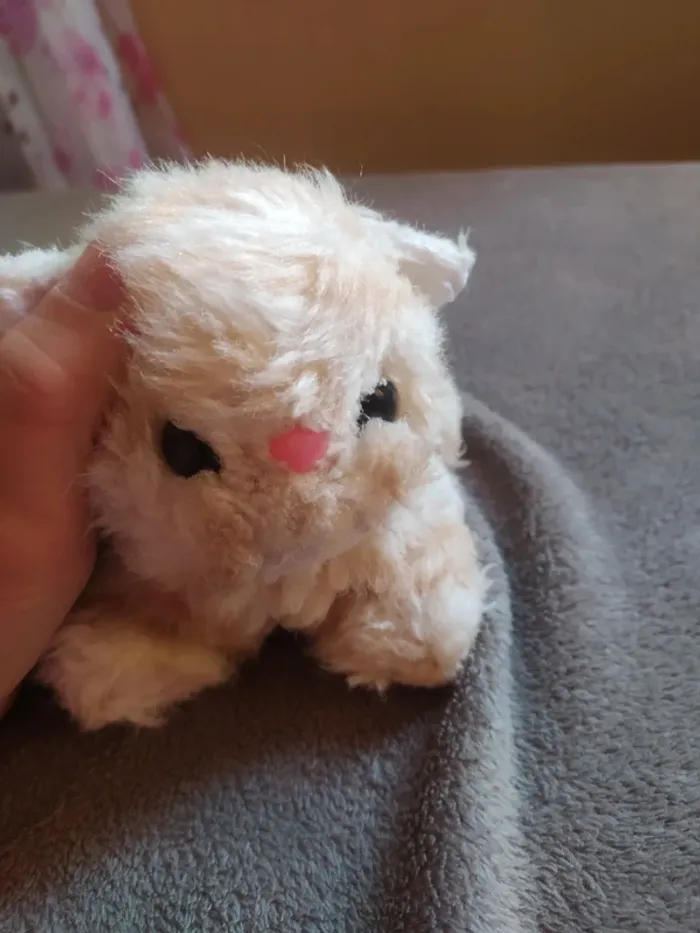 Peluche chat 🐱😺 - photo numéro 2