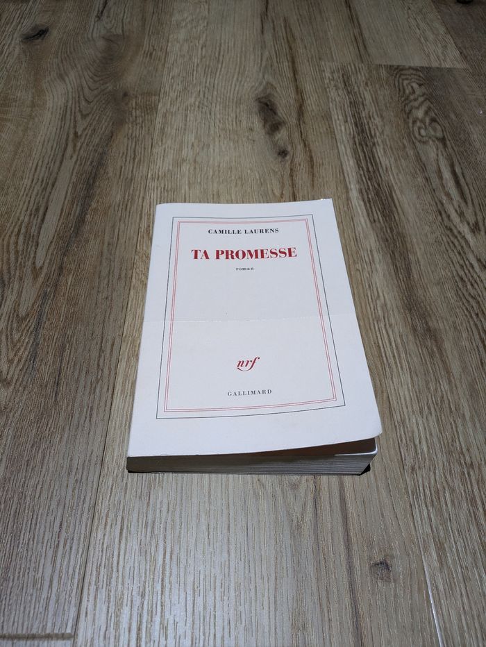 Livre Ta Promesse Camille Laurens