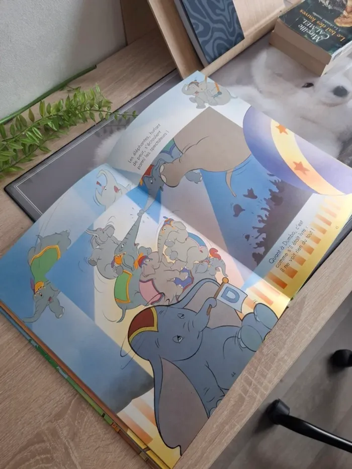 Livre Disney / Dumbo - photo numéro 5