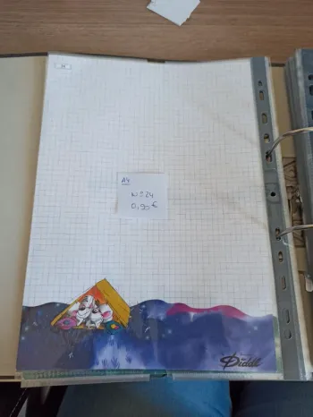 Feuille Diddl A4 24 0,90€