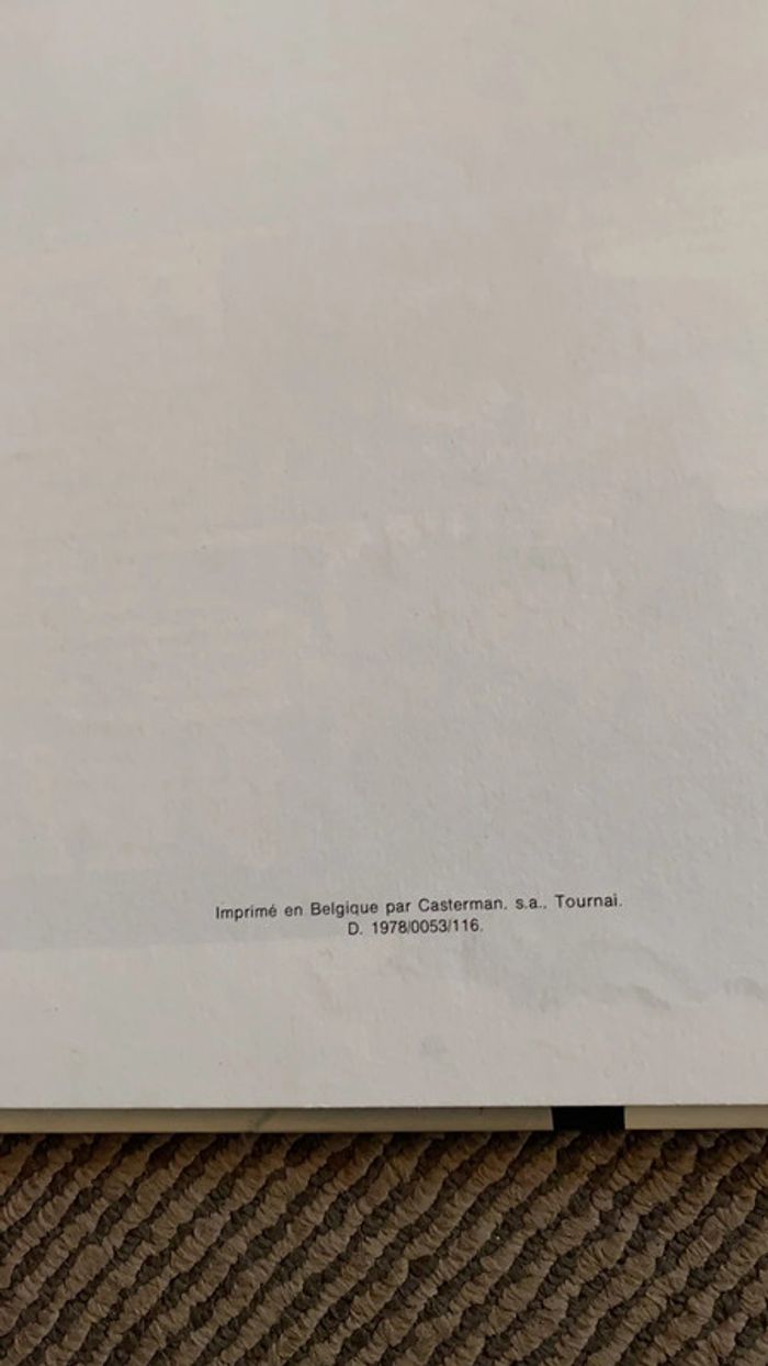 Les 2 nigauds - photo numéro 4