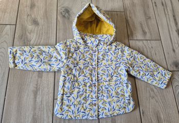 Manteau