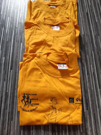 3 tee-shirts collector Boulogne  opale