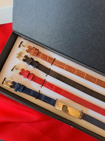 Coffret bracelets Moog