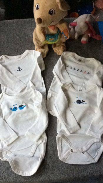 Lot de 4 bodys manches longues