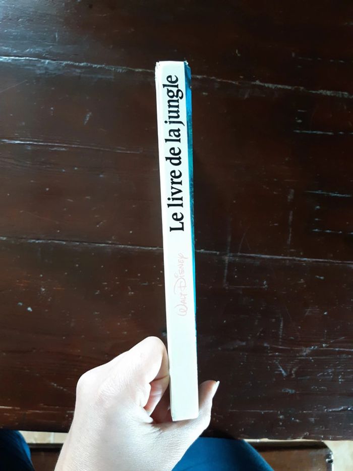 Le livre de la jungle - photo numéro 3
