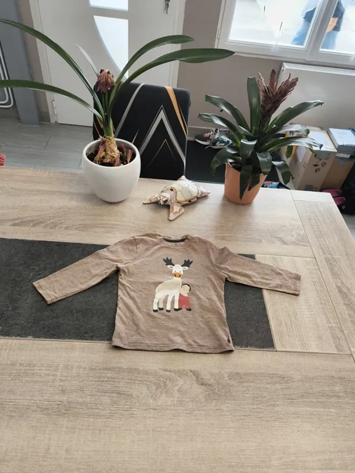 Tee-shirt garçon ml 18 mois obaibi