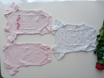 Lot de 3 bodys 3 mois