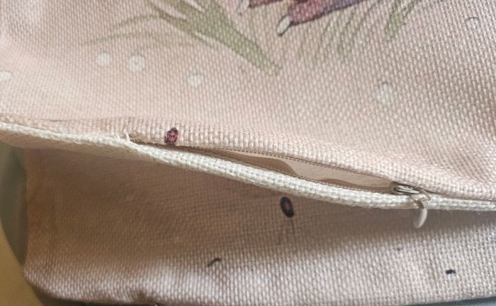 2 housses de coussins hérisson - photo numéro 3