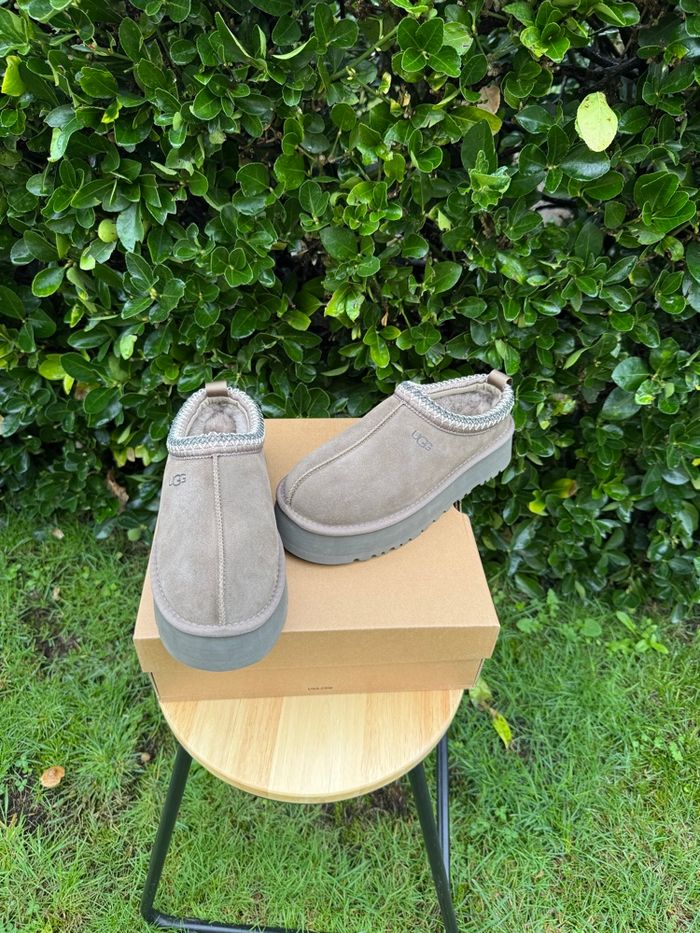 Ugg Tazz hickory - photo numéro 5