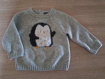 Pull pingouin