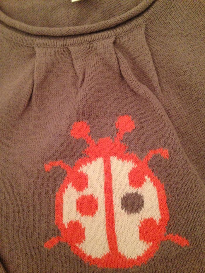 Pull Taupe avec impression d'une coccinelle - photo numéro 2