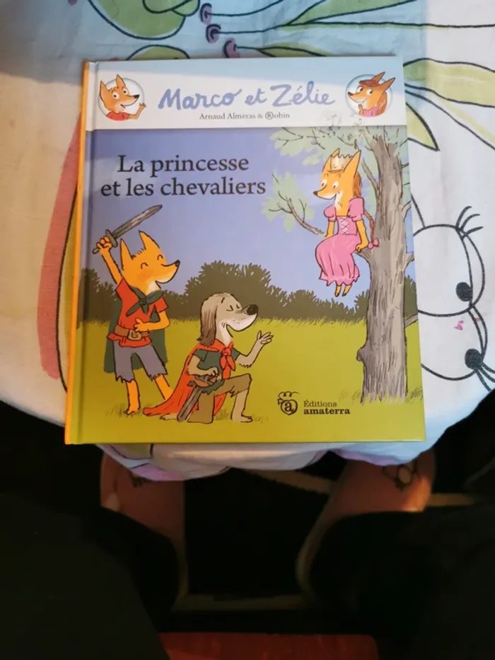 Livre Marco et zelie la princesse et les chevaliers