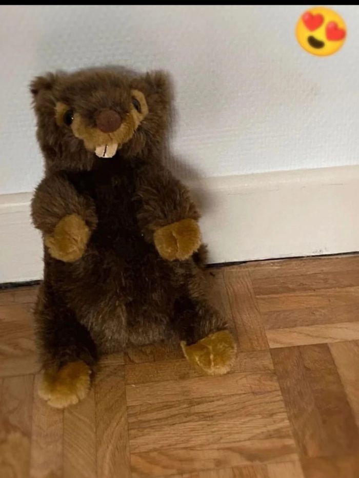 Peluche