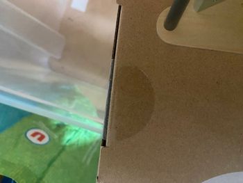 Trotteur vert baudet 