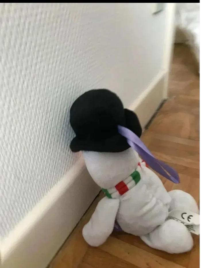 Peluche - photo numéro 4