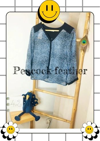 Blouse diane laury 42