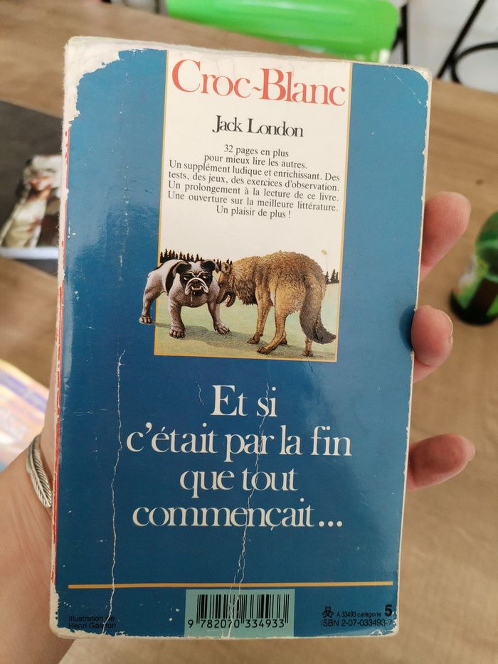 Lot livres ados - photo numéro 4