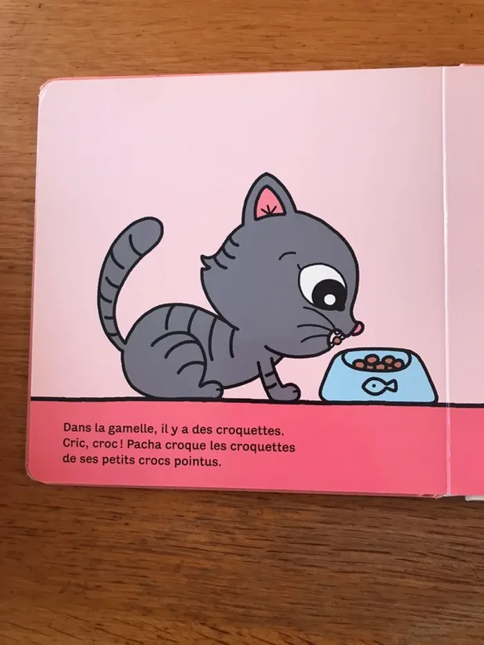 Livre le chat - photo numéro 3