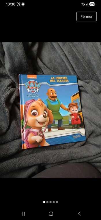 Lot livre pat patrouille