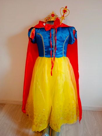 Déguisement princesse