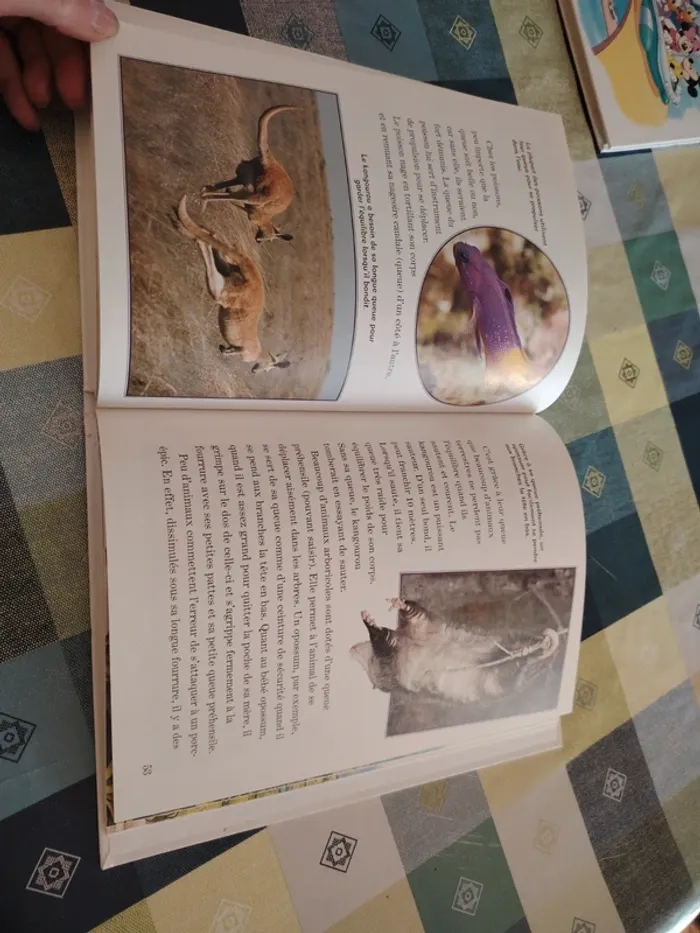 Livre Disney - photo numéro 12