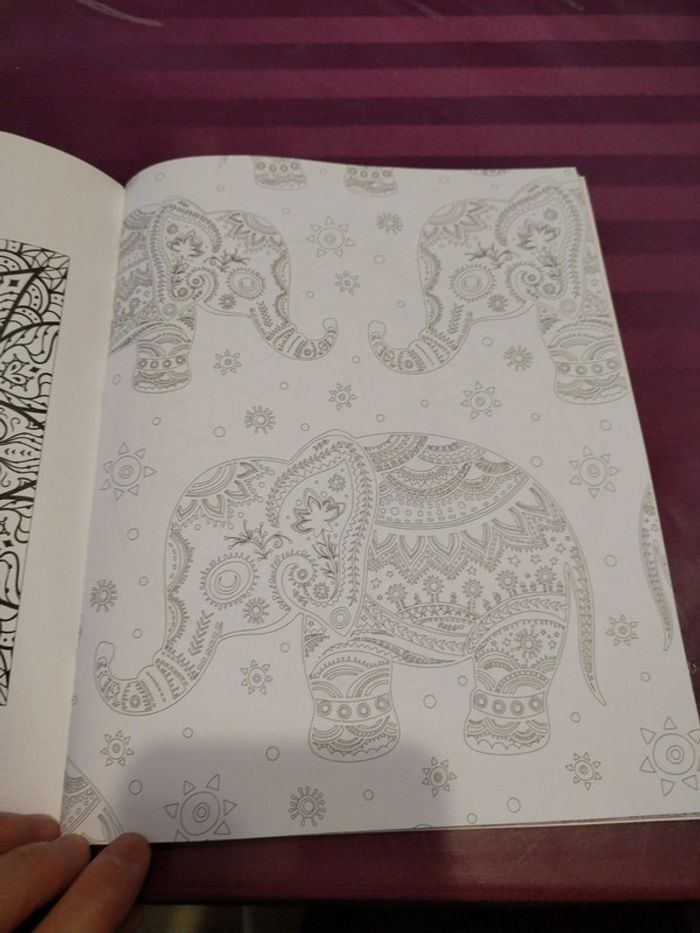 Carnet créatif 100 coloriage - photo numéro 9