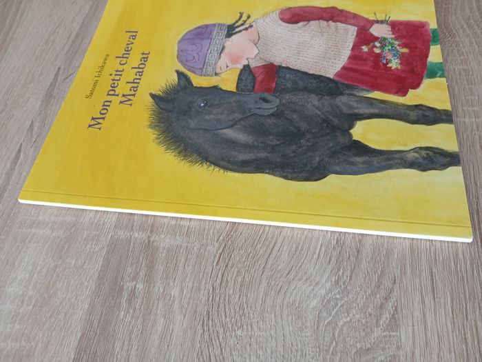 Livre enfant mon petit cheval Mahabat - photo numéro 2