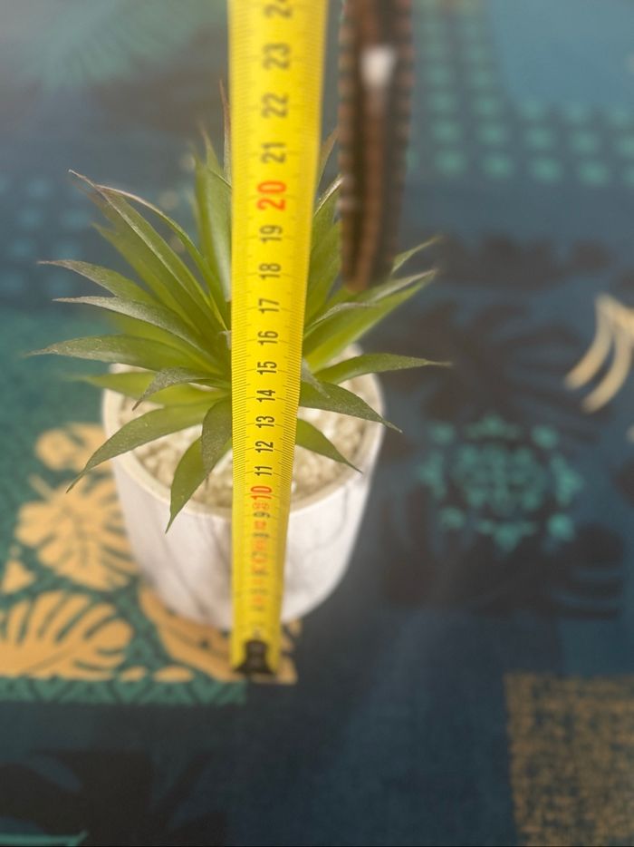 Plante artificielle - photo numéro 4
