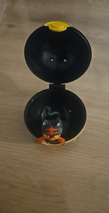 Pokeball avec sa figurine flamiaou
