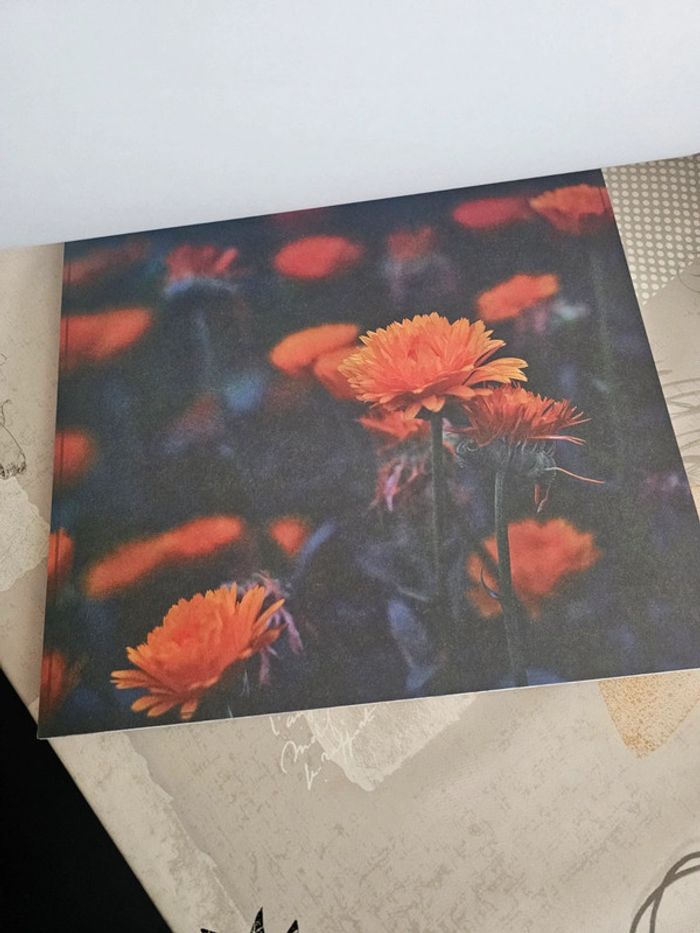 Bloc de feuilles - photo numéro 4