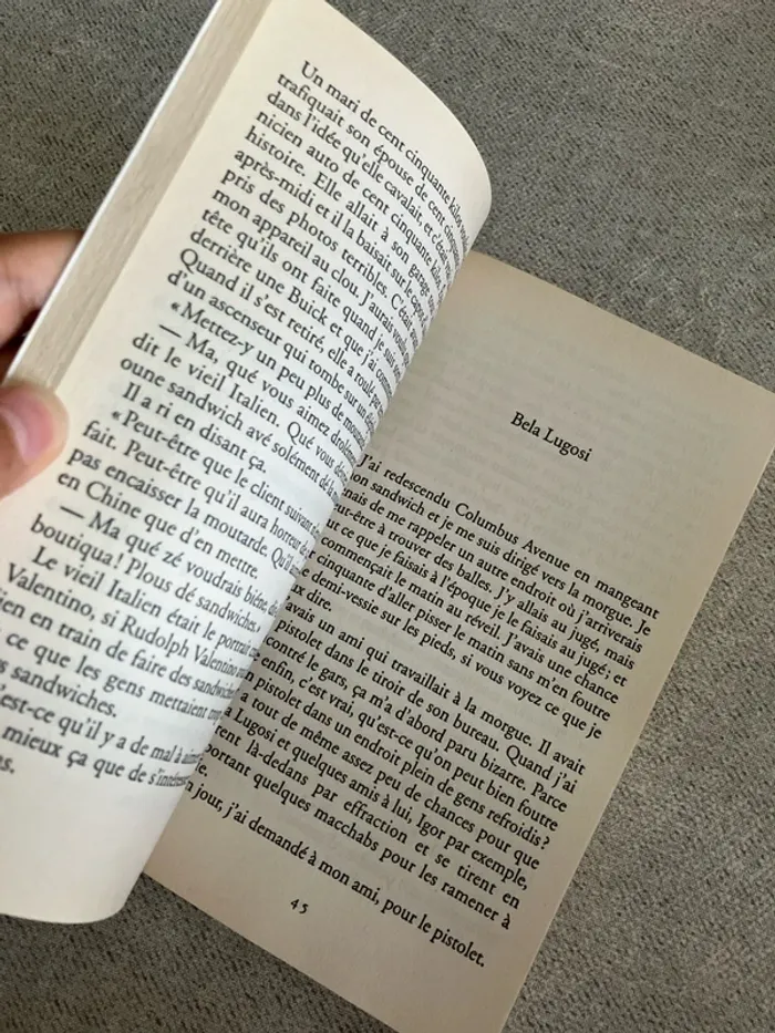 Un privé à Babylone – Richard Brautigan – Édition 10/18 - photo numéro 5