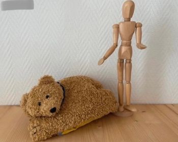 Peluche porte livre l’ourson Caramel couleur marron éditions Quatre Fleuves