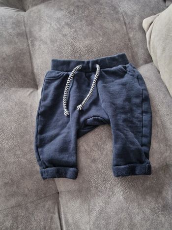 Petit panralon training