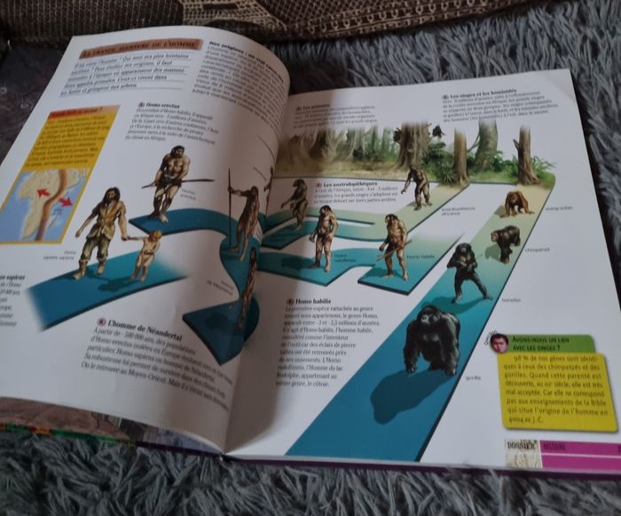 Livre Dokéo Histoires 9-12ans - photo numéro 3