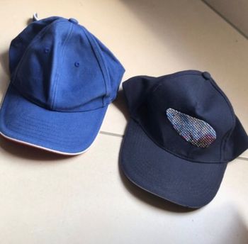 Lot 2 casquettes bleu