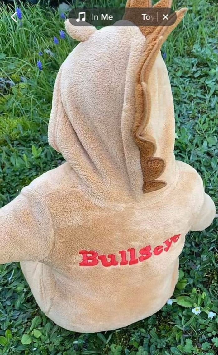 Combinaison Bullseye Toy story - photo numéro 2