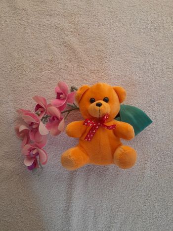 Peluche doudou Ourson