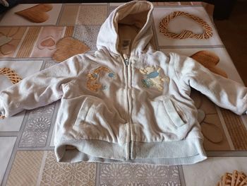 Très jolie veste disney