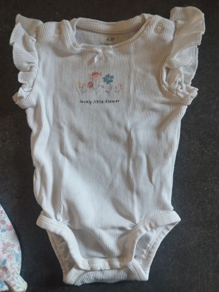 Ensemble été fleuri 1 mois - photo numéro 6