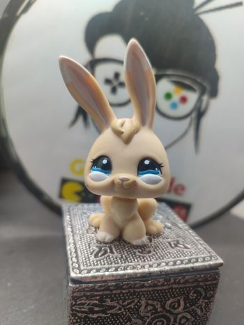 Lps965 My Littlest Petshop Pet Shop LPS  Lapin Rabbit bunny Lièvre 1117