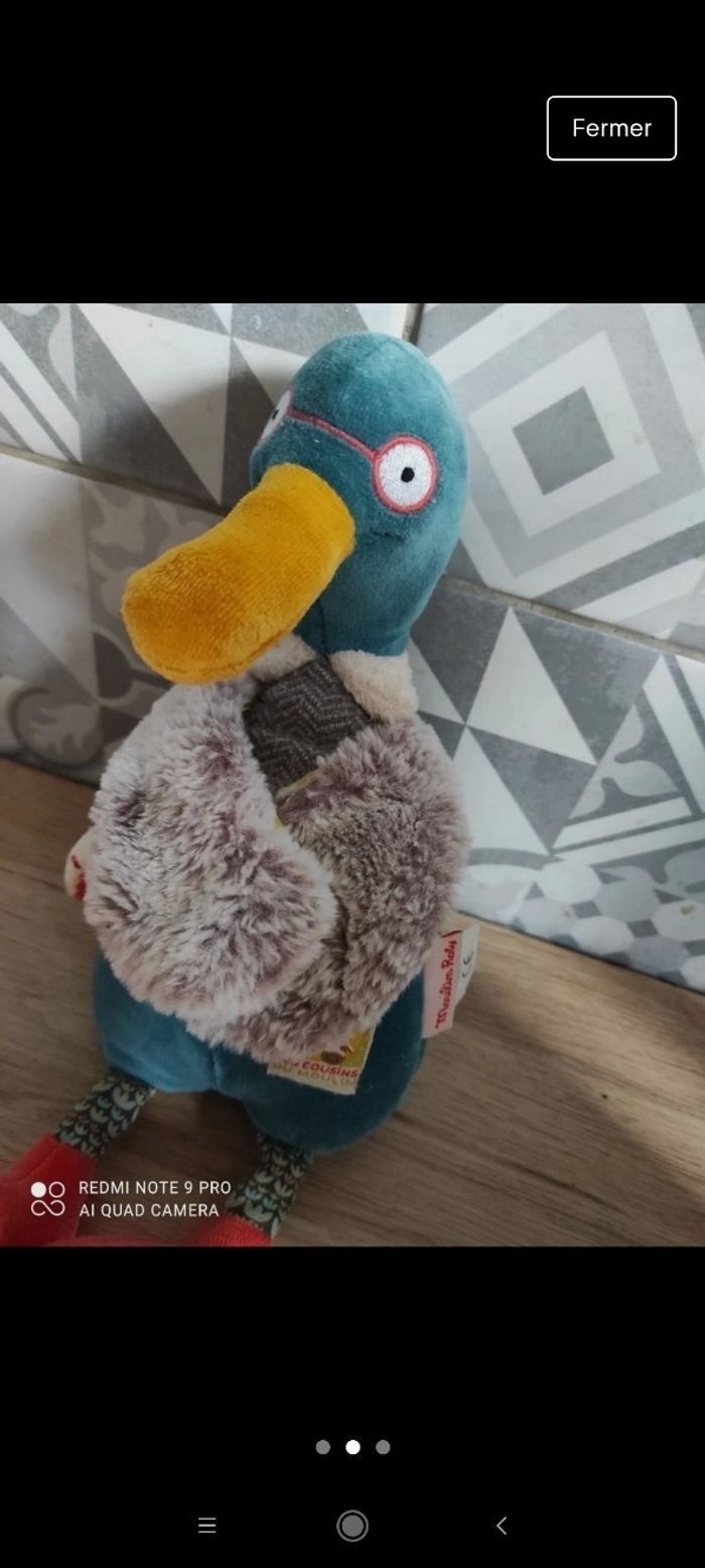 Canard bleu moulin roty les cousins - photo numéro 3