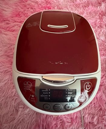 Multicuiseur électrique Moulinex – Bon état