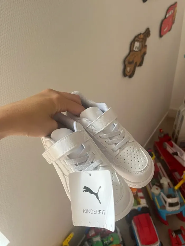 Puma à scratch - photo numéro 4