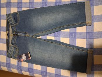 Pantacourt rica Lewis 